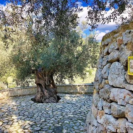 Finca Can Sec 阿拉罗