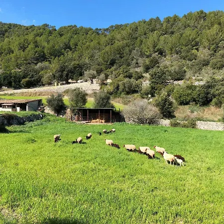 Farmház Finca Can Sec Alaró