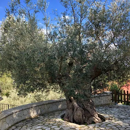 Finca Can Sec Farmház