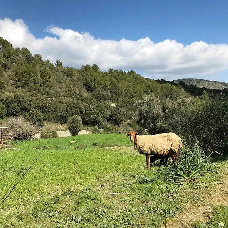Finca Can Sec